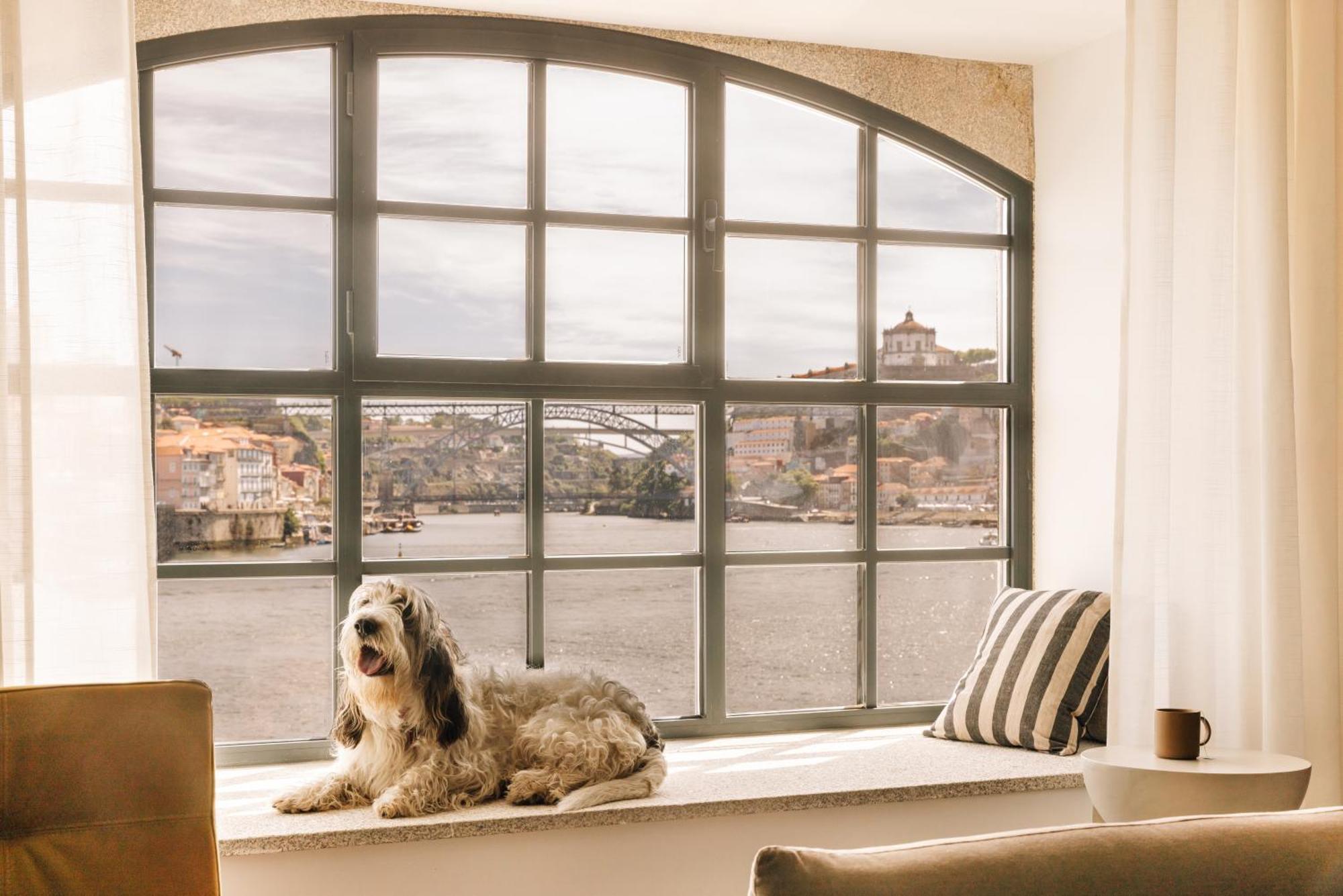 The Rebello Hotel & Spa - Small Luxury Hotels Of The World บีลาโนวาเดกายา ภายนอก รูปภาพ A window with a dog